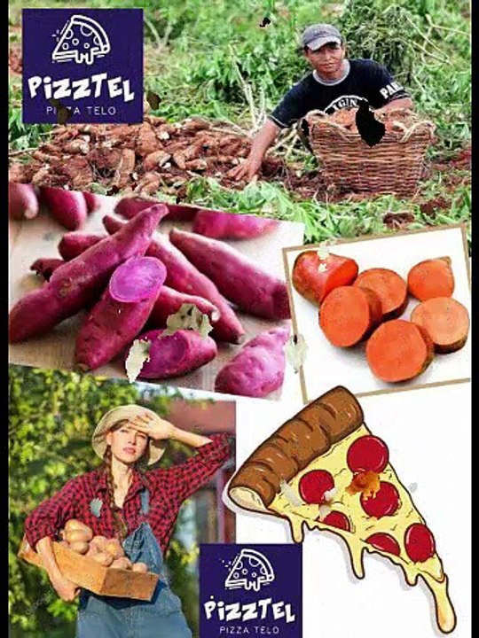 0812 5395 2270 pizza telo indonesia menu