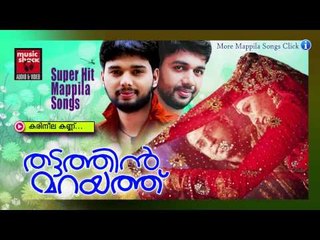 കരിനീല കണ്ണ്‍....Malayalam Mappila Pattukal | Thattathin Marayathu | Malayalam Mappila Songs