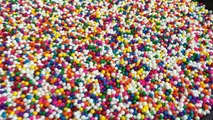 DANIEL TIGERS NEIGHBOURHOOD Toys Rainbow Sprinkles Hiding Game!-Ey8YtqltWCA