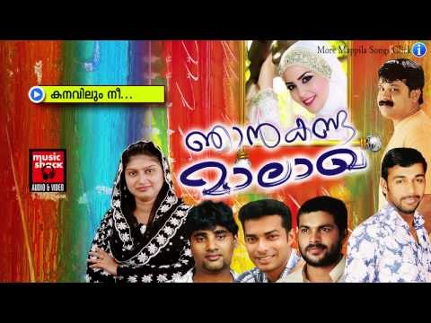 കനവിലും നീ......Malayalam Mappila Album Songs | Njan Kanda Maalaakha | Mappila Pattukal