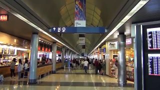 A Tour of Chicago OHare International Airports Terminals 1, 2, and 3, August and September new
