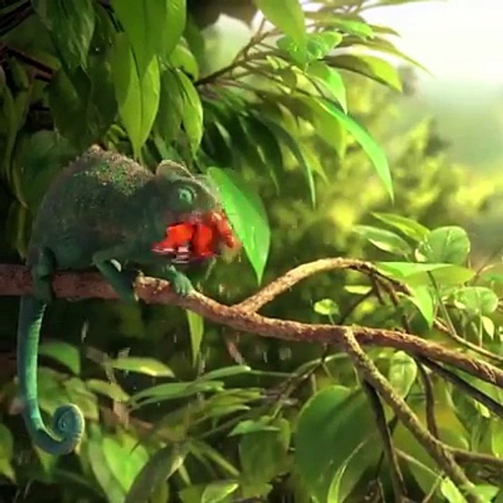 Gread is curseلالچ بُری بلا ہے chameleonگرگٹ