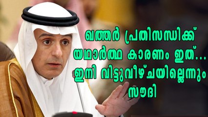 ഖത്തര്‍ പ്രതിസന്ധിയുടെ യഥാര്‍ത്ഥ കാരണം എന്താണെന്ന് പറഞ്ഞ് സൌദി | Qatar Crisis Updation