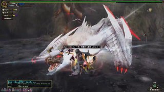 ｢Monster Hunter Frontier Z｣ White Nargacuga Gameplay [Challenge] | [MHF-Z] Quest Hardcore