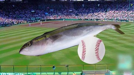 野球の試合中に起きた事件・事故・珍プレー　球場にハチ5000匹で中止に。話題になった噂の代打少年。プロ野球で反則アウト？