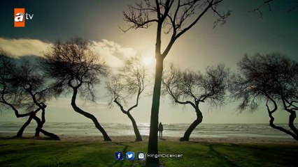 Kırgın Çiçekler 29.Bölüm - Cemre İntihar Ediyor !