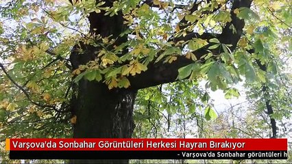 Varşova'da Sonbahar Görüntüleri Herkesi Hayran Bırakıyor