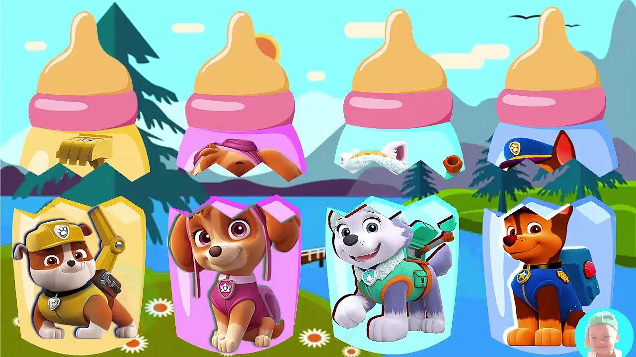 Wrong Heads Finger Family Song Paw Patrol Wrong HAT Bad Baby Bottle Milk