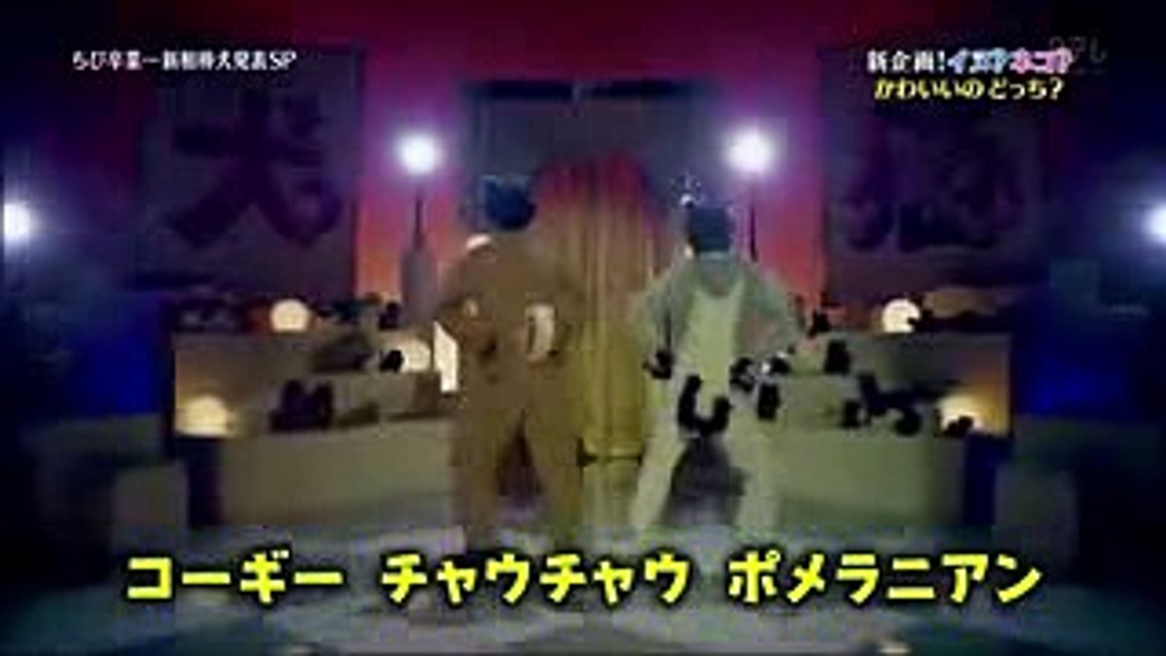 【天才!志村どうぶつ園】  相葉雅紀×二宮和也