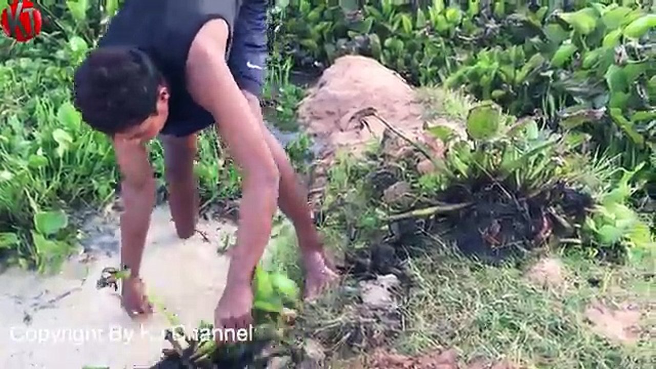 Amazing Deep hole Trap Catch a lot of fish and eels Make By Smart Boy in cambodia