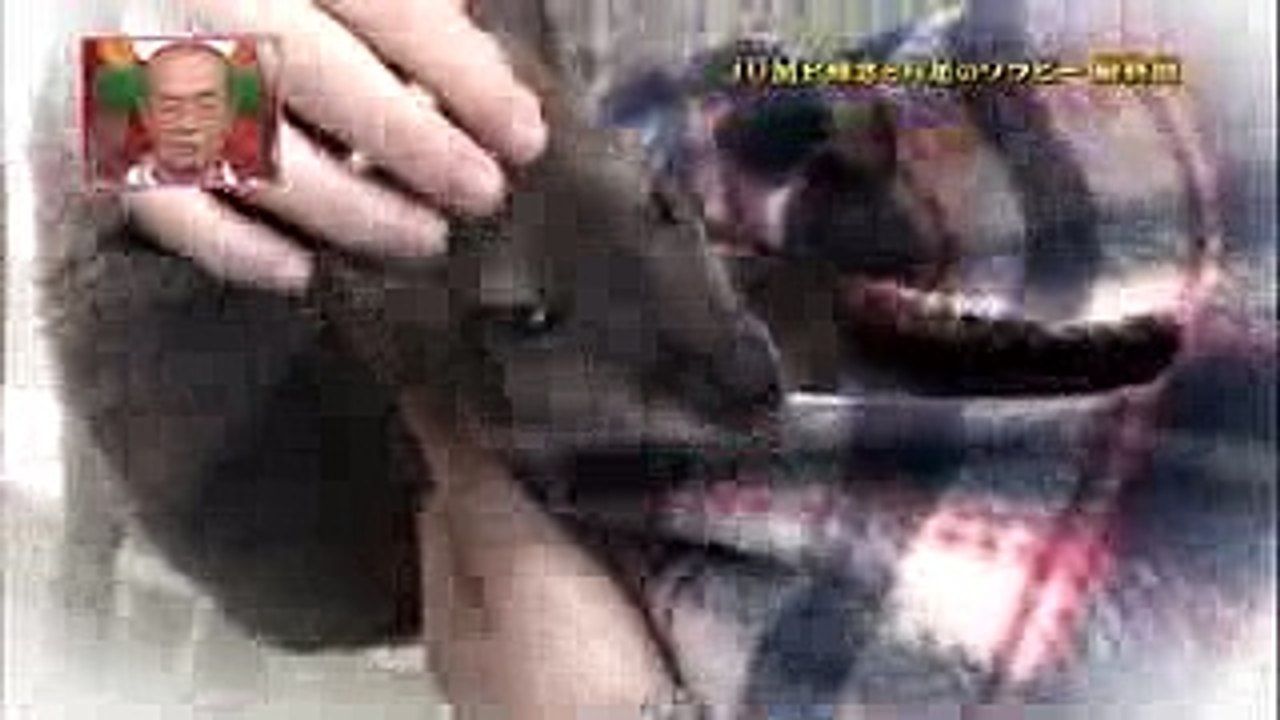 Shimura Zoo 天才！志村どうぶつ園   知念侑李 「さよなら ナッツ」2016 10 08
