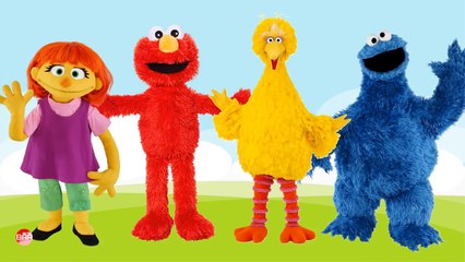 Baby Learn Colors with Wrong Colors Sesame Street - Cookie Monster, Elmo, Big Bird, Julia