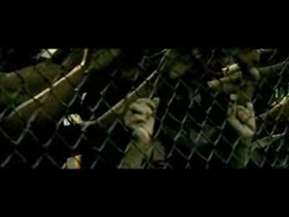 Wyclef Jean - Sweetest Girl (ft Akon,Lil'Wayne,Niia) [2007]