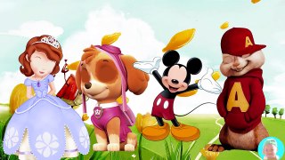 Wrong Eyes Mickey Mouse Disney Princess Sofia Skye paw patrol Chipmunk Finger family rhymes for chil