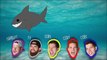 Shark Fishing with Dude Perfect
