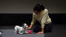 Sony lance son nouveau chien-robot Aibo