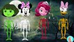 Wrong Heads Minnie Mouse Disney Princess Sofia Daisy Duck Dora Skeleton Colors Learn Finger Family R