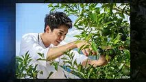 宮崎の名人が育てる“天空の柚子”とは Japan Trending