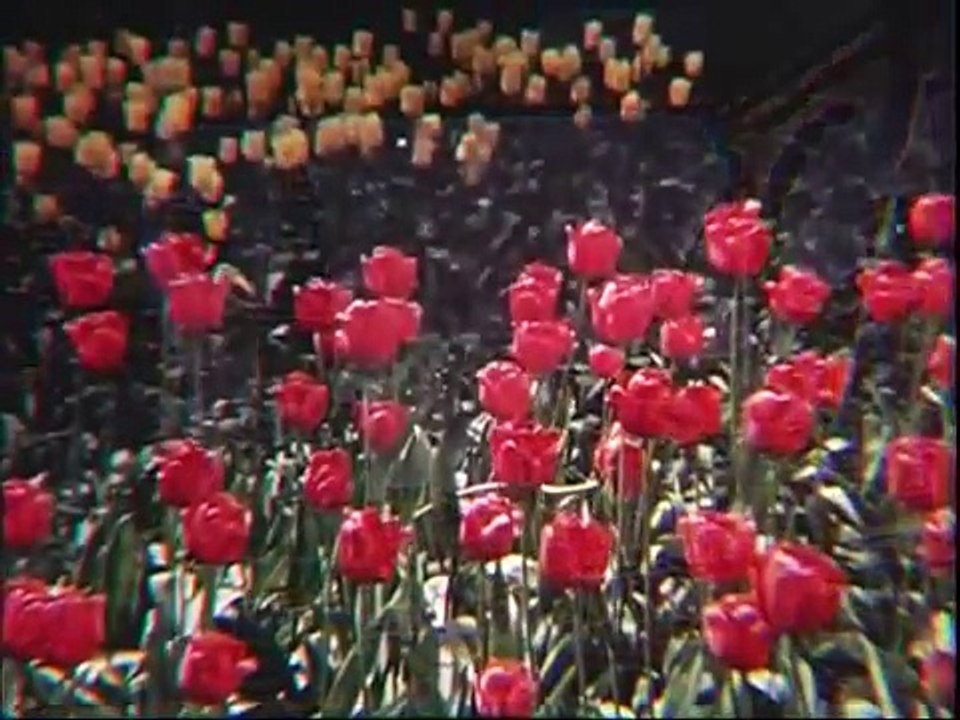 Films of Ernest Kleinberg