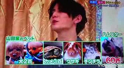 志村どうぶつ園  山田涼介 ～犬派？猫派？相葉と伊ニャーがプレゼン～