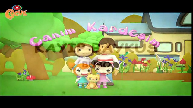 Canım Kardeşim 4. Bölüm izle - Kayıp Baykuş