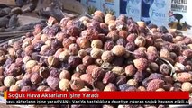 Soğuk Hava Aktarların İşine Yaradı