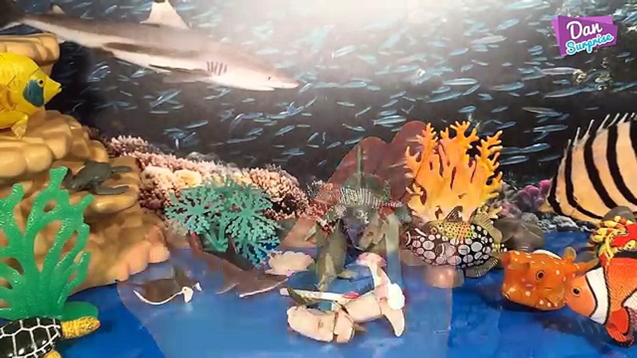 14 GORGEOUS SEA ANIMALS SURPRISE TOYS 3D PUZZLES - Hammerhead Shark Whale Beluga Manta Ray