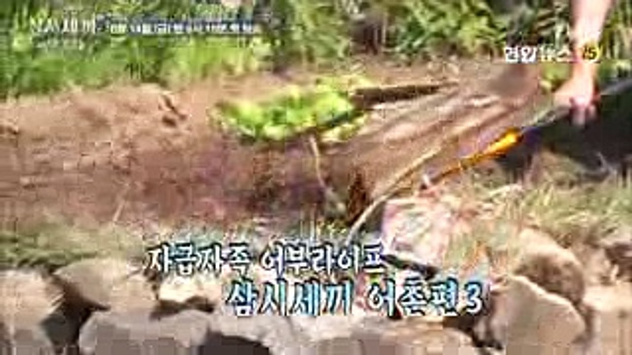 Season 3 of 'Three Meals a Day Fishing Village' highlights