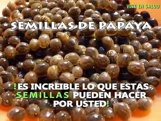 Propiedades de las semillas de Papaya