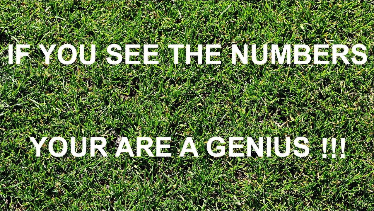 What Number Do You See  97% FAIL