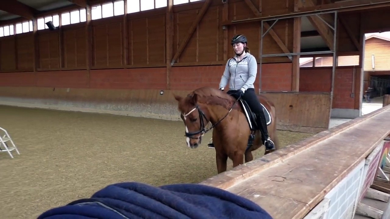 [Unser Training] - Die Arbeitsphase