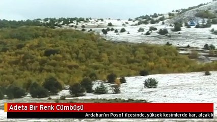 Download Video: Adeta Bir Renk Cümbüşü