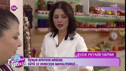 Evde peynir yapımı