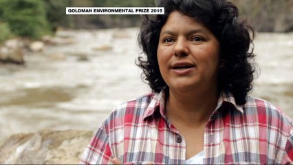 Murder of Berta Caceres part of coordinated plot: lawyer team