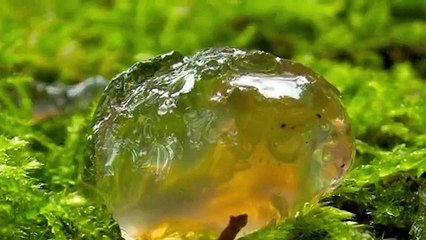 10 САМЫХ БОЛЬШИХ НЕРАЗГАДАННЫХ ТАЙН СОВРЕМЕННОСТИ