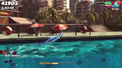 Hungry Shark World - New Baby Pet Shark - Dave The Porbeagle