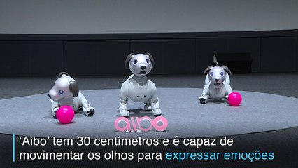 Sony apresenta nova versão de seu cão robô