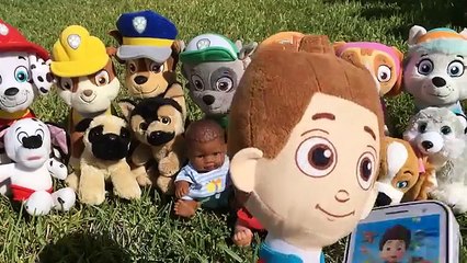 Download Video: Patrulla canina juguetes español EL JOKER ATRAPA NUEVOS BEBES PAW PATROL CACHORROS! PAW AL RESCATE!