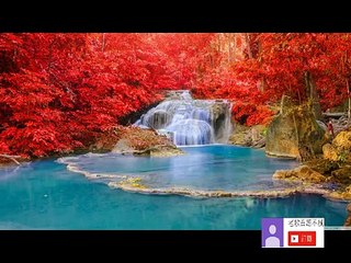 經典中文老歌 純音樂紓壓放鬆心情 Relaxing Chinese Old Romantic Songs