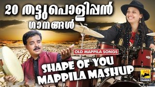 Shape Of You - 20 മാപ്പിളപാട്ടുകൾ  തട്ടുപൊളിപ്പൻ ശൈലിയിൽ - Malayalam Mashup - Non Stop Mappila Songs