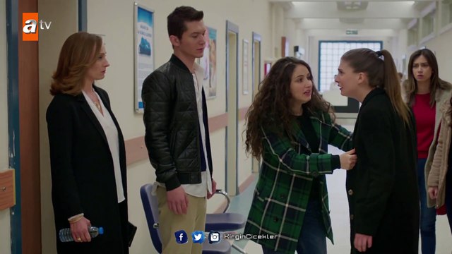 Kırgın Çiçekler 41.Bölüm - Songül, Güney ile Kader arasında kalıyor!