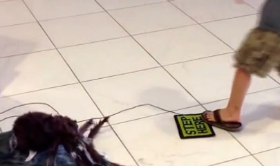 Kid Gets Scared Of Mechanical Jumping Spider