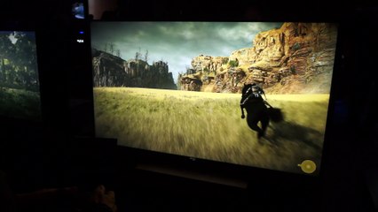 Shadow of the Colossus - 10 minuti di gameplay off screen