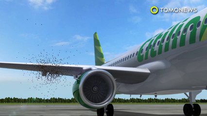 下载视频: Enjambre de abejas: Miles de abejas se adhieren a la aleta de un avión de Indonesia - TomoNews