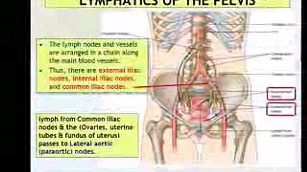 MASSAGE Lymphatic drainage - BODY DETOX