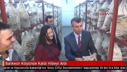 Balıkesir Köyünde Kaldı Hibeyi Aldı
