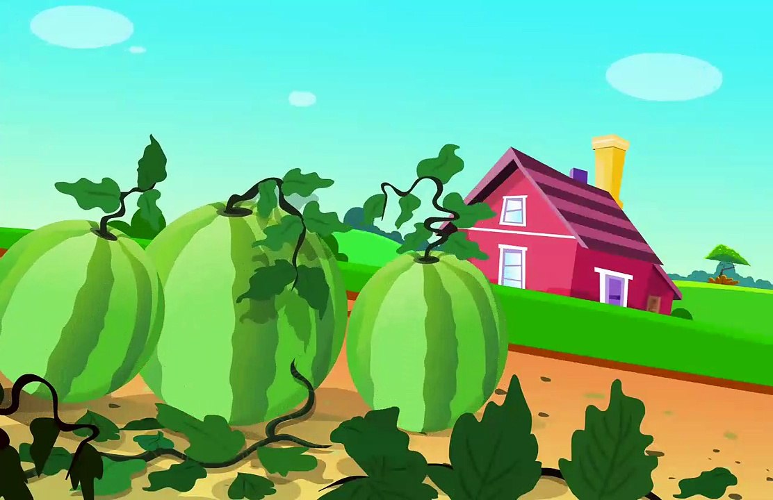 Watermelon Grow