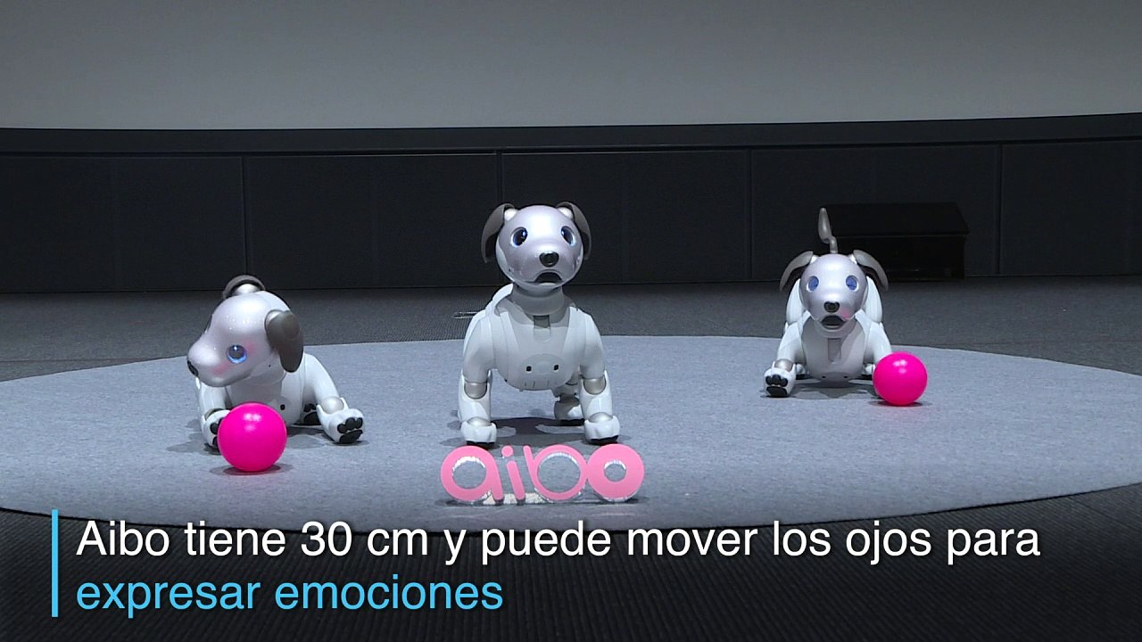 Sony revive su perro robot