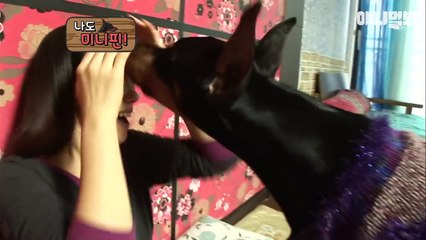 같은 블랙이라 자기도 미니핀인줄 아는 개ㅋㅋㅋ