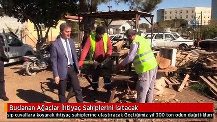 Budanan Ağaçlar İhtiyaç Sahiplerini Isıtacak